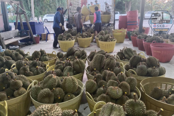 บริการรับสินค้า-ขนส่งสินค้าทุกประเภท