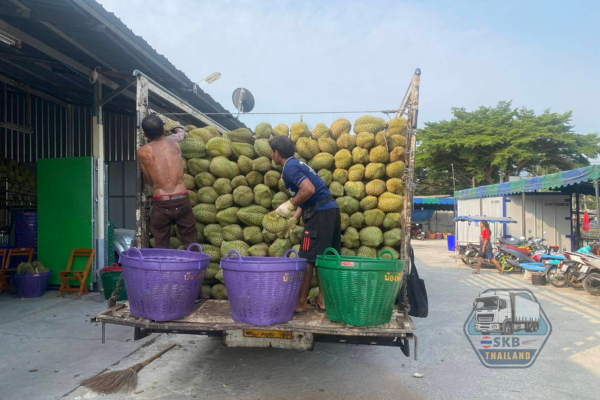 รถรับจ้างขนของทั่วประเทศ